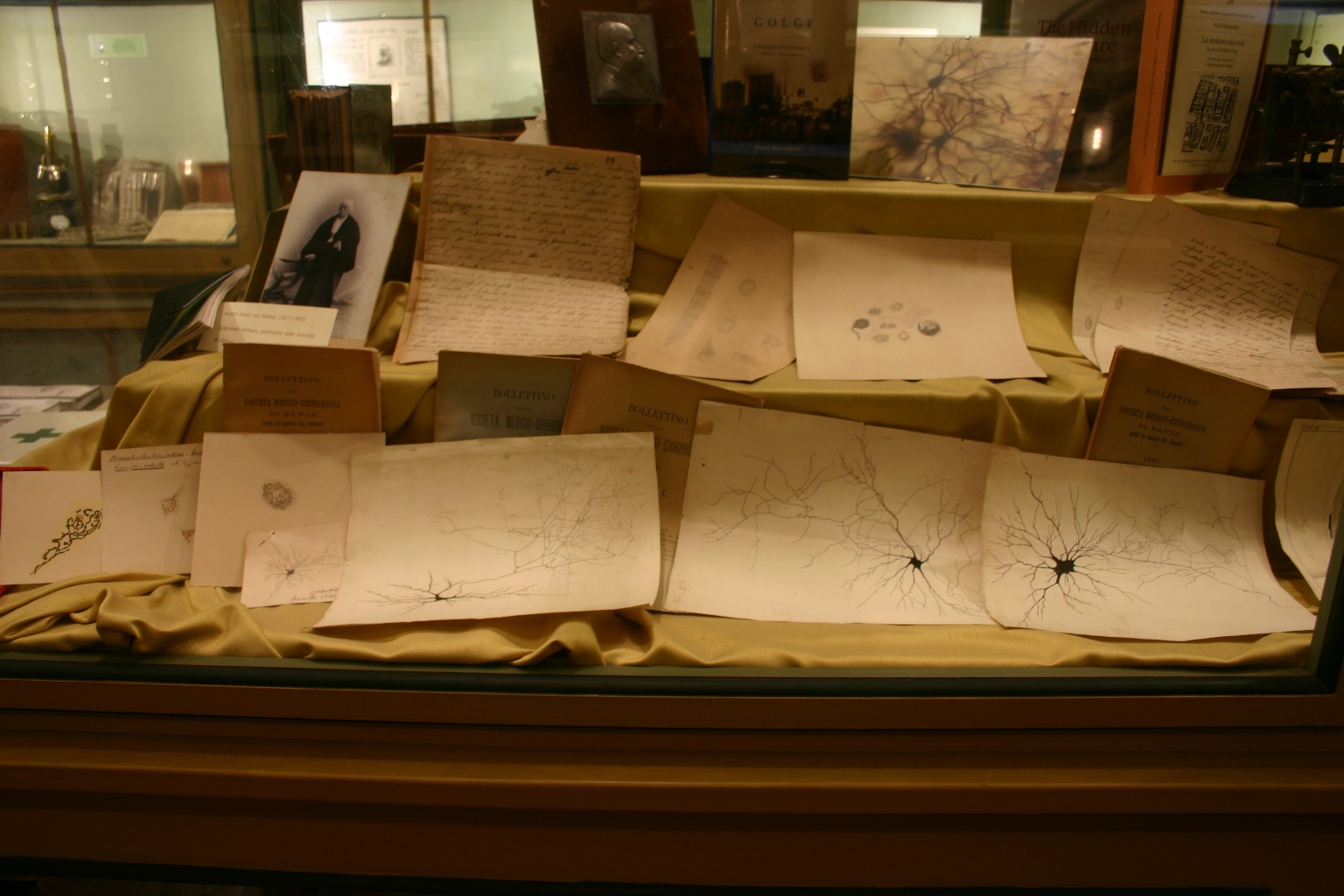 Camillo Golgi's memorabilia, Museo per la Storia dell'Università, Pavia - 04.JPG